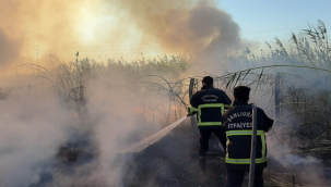 Urfa'da önüne geçilmeyen yangınlar