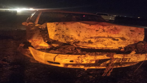 Urfa'da otomobil koyun sürüsüne daldı