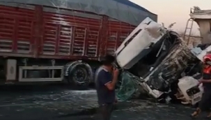 Urfa'da tır sulama tankerini çarptı