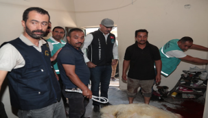 Başkan Kuş, Kurban Kesmemiş Onlarca Aileye Kurban Dağıttı