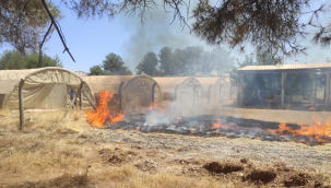 Çadır kentte yangın