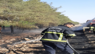 Ceylanpınar'da ağaçlık alandaki yangın söndürüldü