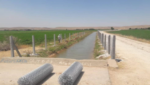 DSİ, sulama kanallarını tel örgü ile kaplıyor