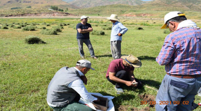 Harran Üniversitesi'nin Pamuk Verimi ile İlgili Proje 