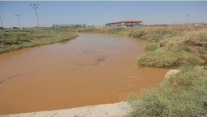 Her yıl bilinçsiz sulama yüzünden toprak çoraklaşıyor