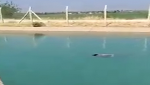 Kanalda boğulmuştu: Kimliği tespit edildi