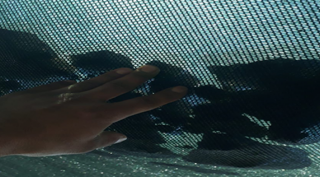 Kavurucu Sıcaklara Belediyeden Önlem