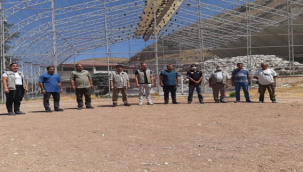 Kelaynaklar yeniden göç yollarına düştü