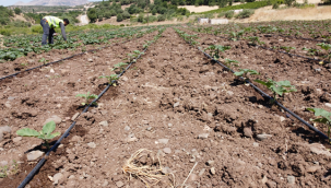 Külhan Barajı ile 2 bin 440 dekar alan suyu kavuştu