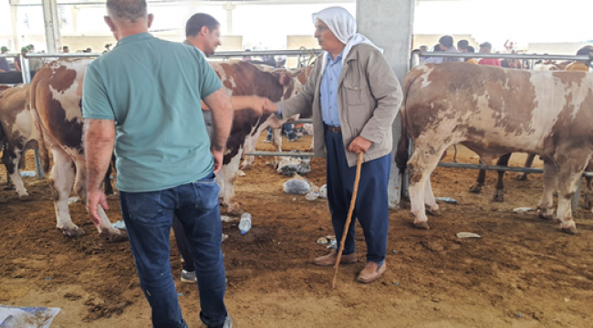 Şanlıurfa'da kurban satışları arttı