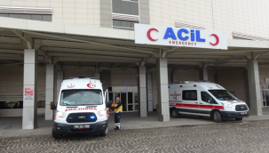 Şanlıurfa'da silahlı kavga