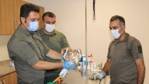 Şanlıurfa'da tedavi edilen kuşlar doğaya salındı.
