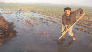 Şanlıurfalı Çiftçilerin Sıcakla İmtihanı