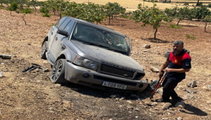 Suruç-Birecik yolunda kaza