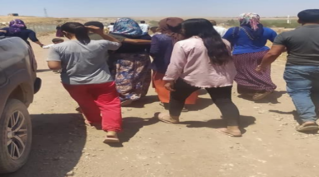 Urfa'da genç kız sulama kanalına düştü!