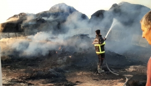 Urfa'da saman balyası yüklü TIR, alev alev yandı
