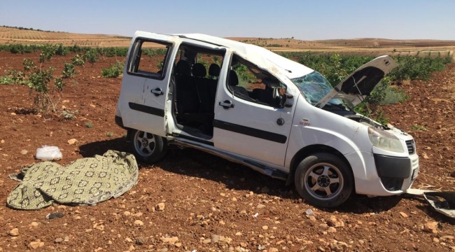 Urfa"da trafik kazası, 1 ölü