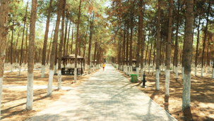 Akçakale Kent Parkı Ve Mesire Alanı Açılış İçin Gün Sayıyor