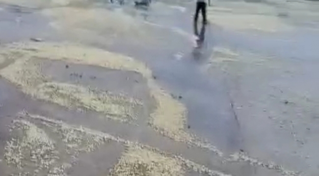 Bozova'da tonlarca fıstık yağmur suyuna kapıldı!