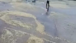 Bozova'da tonlarca fıstık yağmur suyuna kapıldı!