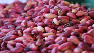 Fıstık fiyatlarının yüksekliği  taleplerde düşüklüğe neden 