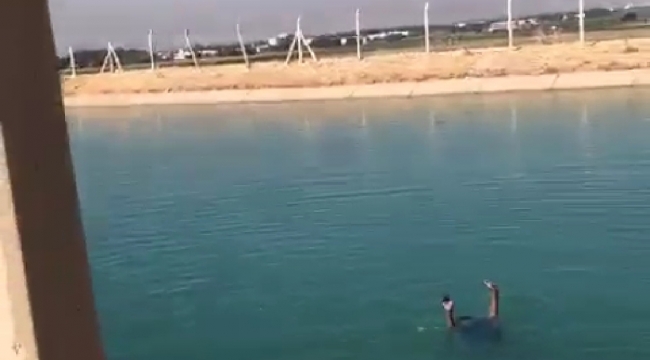 Şanlıurfa'da intihar girişimi