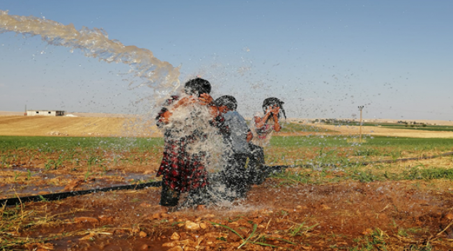 Şanlıurfa'da sıcak hava bunaltıyor