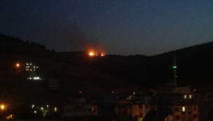 Urfa'da ormanlık alanda yangın