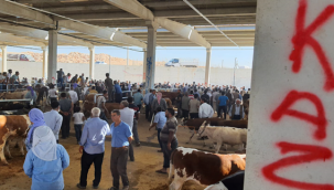 Urfa'da sopalı kavga, 2 yaralı