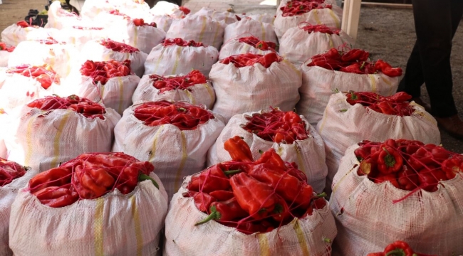 Urfa'nın acı serüveni başladı