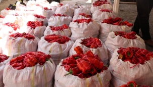 Urfa'nın acı serüveni başladı