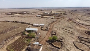 Viranşehir Belediyesinden Stabilze Yol Çalışması