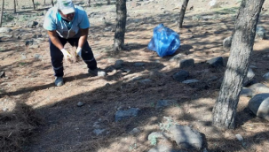 Viranşehir Belediyesinden Yangınlara Karşı Orman Temizliği