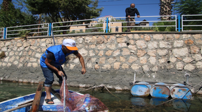 Büyükşehir'den 'Saklı Cennet Halfeti'de Kapsamlı Temizlik