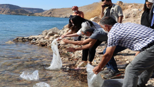 Fırat göletine 75 bin Şabut balığı bırakıldı