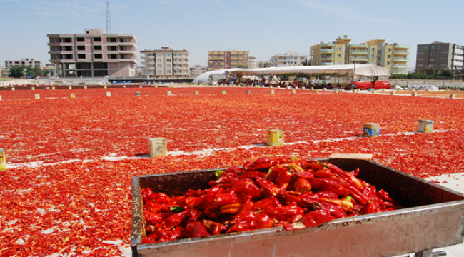 İSOT fiyatları düştü