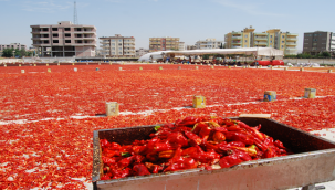 İSOT fiyatları düştü