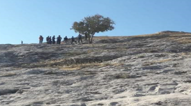 Şanlıurfa'da ağaca asılı halde bulundu!