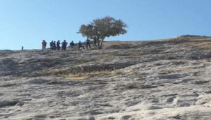 Şanlıurfa'da ağaca asılı halde bulundu!