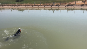 Şanlıurfa 'da iki çocuğun cansız bedeni bulundu