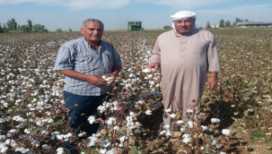 Urfa'da beyaz altında zamanı