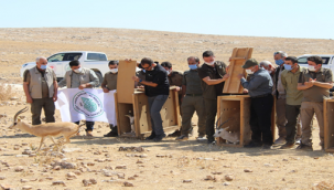 Urfa'da ceylanlar doğaya bırakıldı