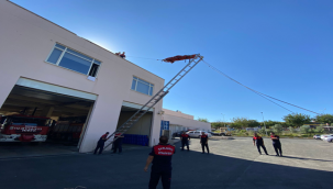 Urfa'da görevlerine zinde başlıyorlar