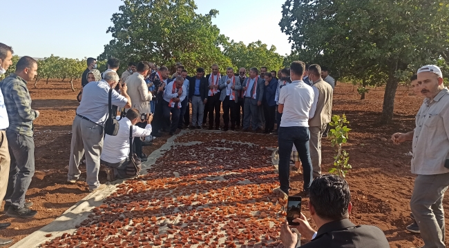 Urfa'da Şire Şenliği" etkinliğİ düzenledi