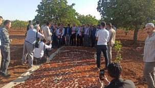 Urfa'da Şire Şenliği" etkinliğİ düzenledi