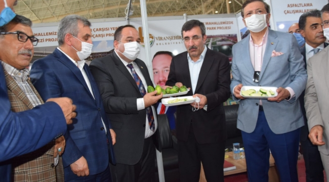 VİRANŞEHİR BELEDİYESİ BÖLGESEL KALKINMA FUARINDA PROJELERİNİ TANITTI