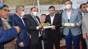 VİRANŞEHİR BELEDİYESİ BÖLGESEL KALKINMA FUARINDA PROJELERİNİ TANITTI