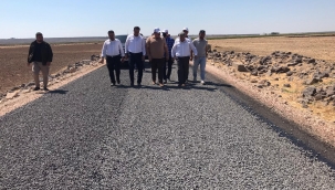 VİRANŞEHİR KIRSALINDA ASFALT ÇALIŞMASI