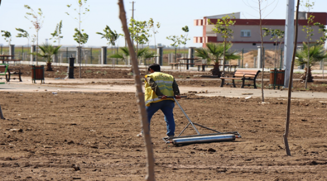 Harran Kent Parkı Büyükşehir'in çalışmalarıyla yemyeşil olacak