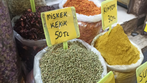 Koronavirüse karşı bağışıklığı nasıl güçlendireceksiniz!